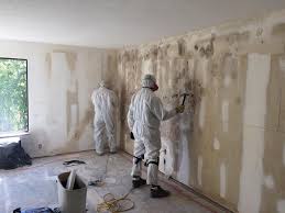 Best Basement Mold Removal  in Clayton, GA